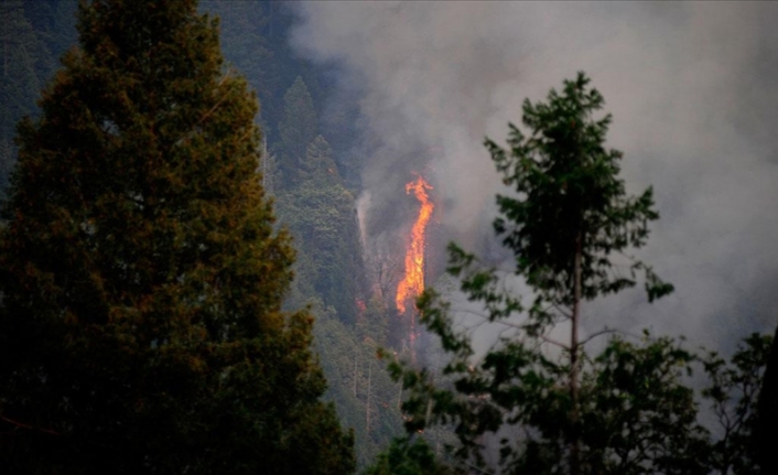 California'daki yangınlar için 'büyük afet' ilanı talep edildi