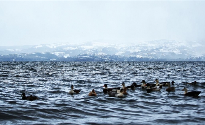 Sapanca Gölü'nde su seviyesi koruma çalışmalarıyla 1,19 metre arttı