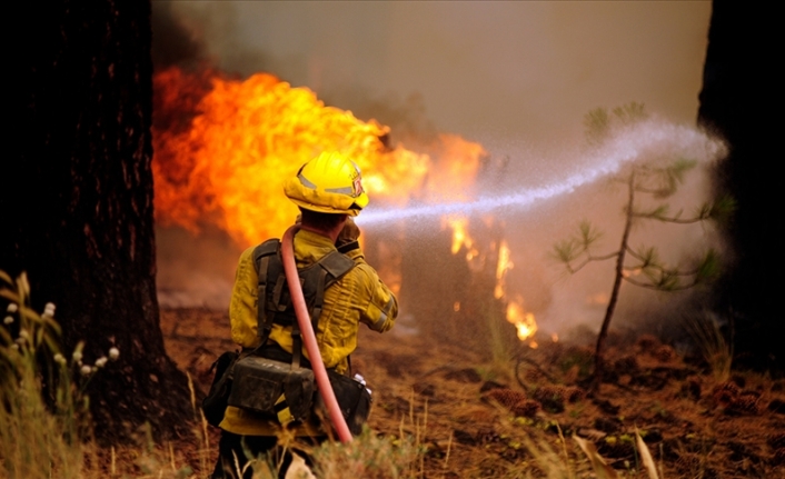 ABD’nin New Mexico eyaletinde orman yangınları sürüyor