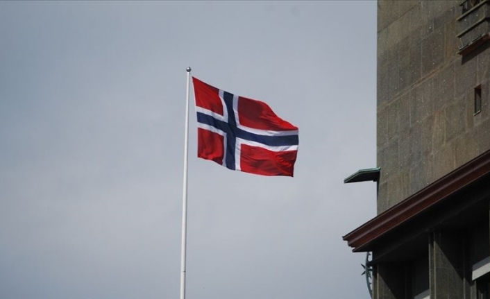 Norveç'te 'haksız' uygulamalarla çocukları ellerinden alınan aileler mağdur ediliyor