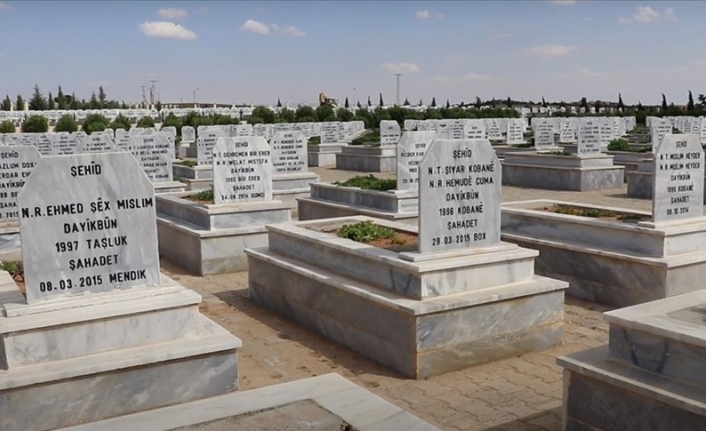 Aynularab'daki mezar taşları, YPG/PKK'nın çocukları kullandığını belgeliyor