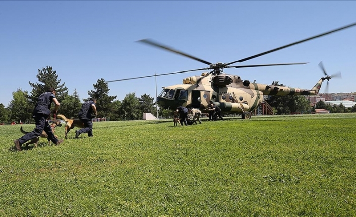 Jandarmanın 'hassas burunları' operasyonlara helikopterli eğitimle hazırlanıyor