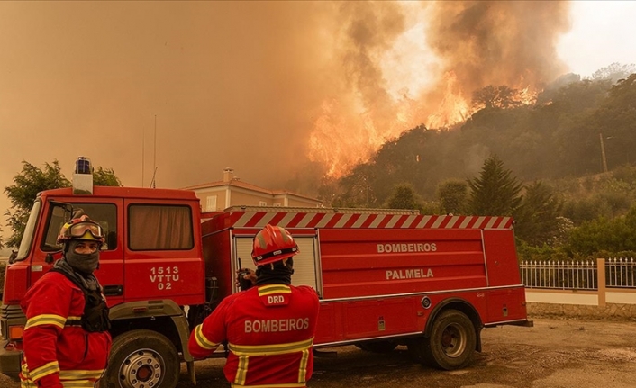 Avrupa ve ABD'de aşırı sıcaklar orman yangınlarına neden oluyor