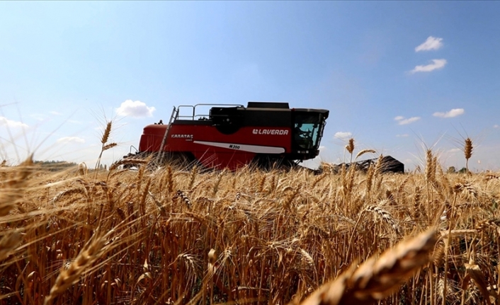 İthal edilen buğdaylar işlenip katma değerli ihracata dönüşüyor
