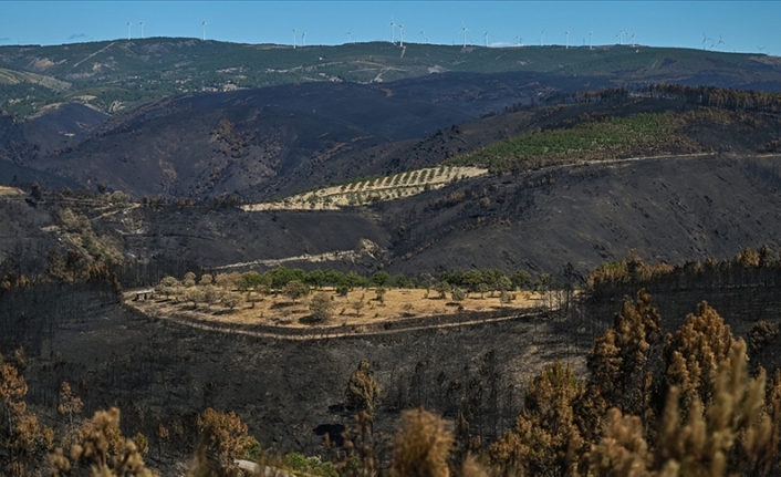 Portekiz orman yangınlarına karşı 3 günlük alarma geçti