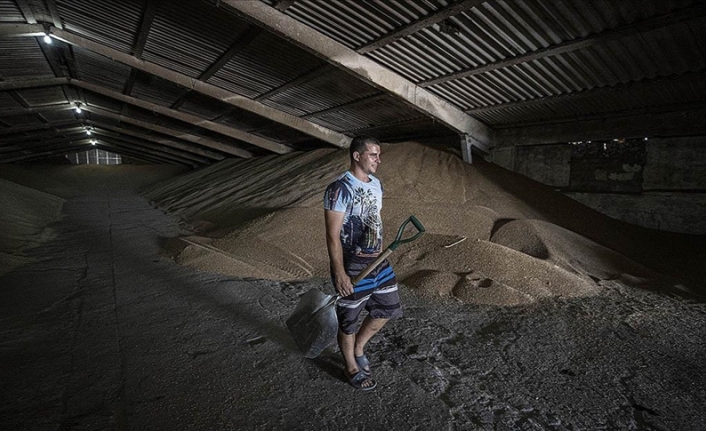 Ukraynalı çiftçiler tahıl gemilerinin limanlardan çıkışını bekliyor