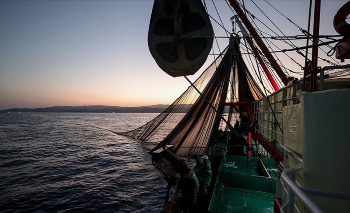 Denizlerdeki balık stokları araştırma gemileriyle takip ediliyor