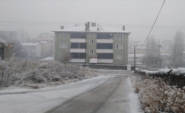 Erzurum, Ardahan ve Kars'ta kar etkili oluyor