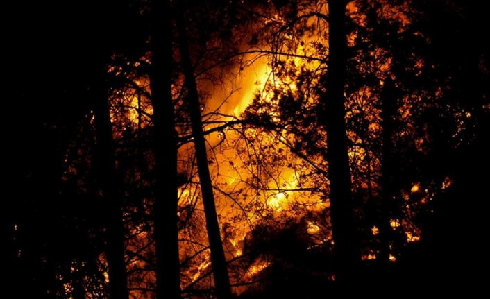 Şili'de 2022'de orman yangınlarından 125 bin hektardan fazla alan etkilendi