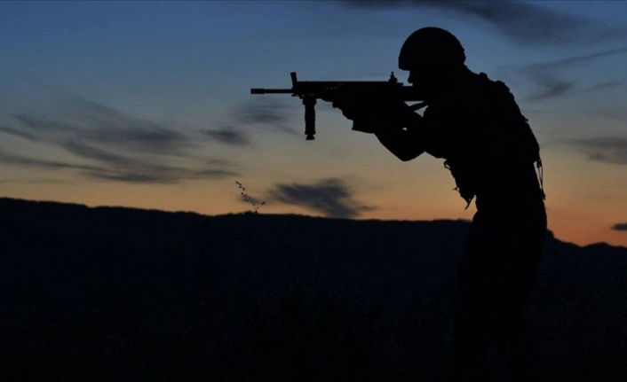 Zeytin Dalı ve Barış Pınarı bölgelerinde 2 PKK/YPG'li terörist etkisiz hale getirildi