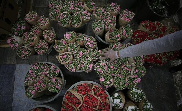 Türkiye 2022'de 145 milyon dolarlık çiçek ihraç etti