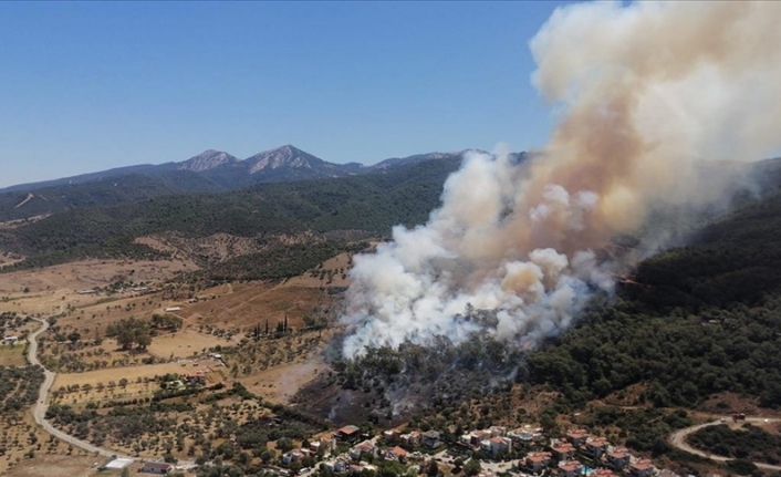İzmir'in Güzelbahçe ilçesinde orman yangını çıktı