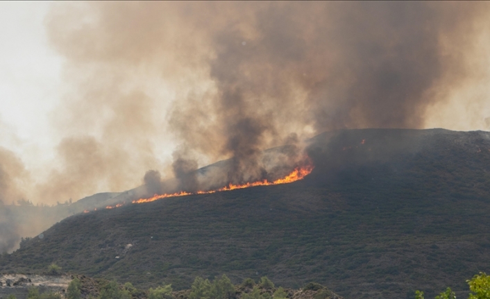 Yunanistan'daki orman yangınlarda ölenlerin sayısı 4'e yükseldi