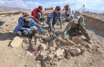Köpeği, 4 atı, sığır ve koyunuyla gömülen Urartulunun mezarı arkeologları heyecanlandırdı
