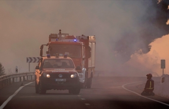 İspanya'nın güneyindeki yangınlarda 6 bin hektardan fazla alan kül oldu