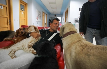 Fabrika sahibi makam odasını 16 sokak köpeğiyle paylaşıyor