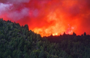 Arjantin'deki orman yangınlarında 500 bin hektardan fazla alan zarar gördü