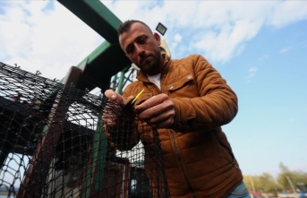 Düzce ve Kocaeli'de balıkçılar kıyı avcılığına hazırlanıyor