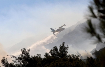 Datça'da çıkan orman yangınına havadan ve karadan müdahale ediliyor