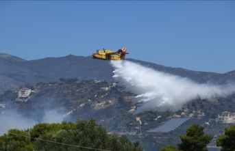 Yunanistan'ın Meriç bölgesindeki yangın yedinci gününde sürdü