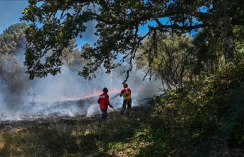 Portekiz'de 2'si büyük 14 yerde orman yangınları devam ediyor