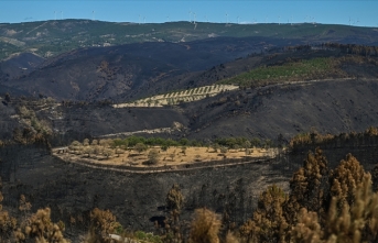 Portekiz orman yangınlarına karşı 3 günlük alarma geçti