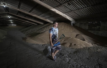 Ukraynalı çiftçiler tahıl gemilerinin limanlardan çıkışını bekliyor