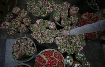 Türkiye 2022'de 145 milyon dolarlık çiçek ihraç etti