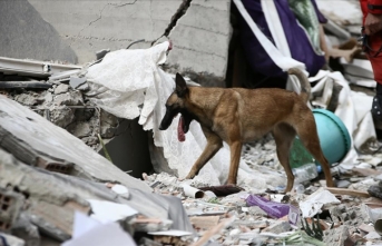 Jeofizik uzmanı Profesör Mai, Kahramanmaraş merkezli depremleri "çok sıra dışı bir durum" olarak nitelendirdi