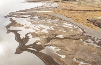 Van Gölü'ndeki çekilme inci kefalinin göç yolculuğunu uzatacak