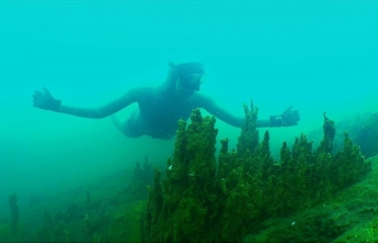 Dalış rekortmeni Şahika Ercümen'den Van Gölü'nde "sıfır atık dalışı"