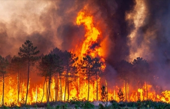 Fransa'nın Korsika Adası'ndaki yangında 200 hektarlık alan kül oldu