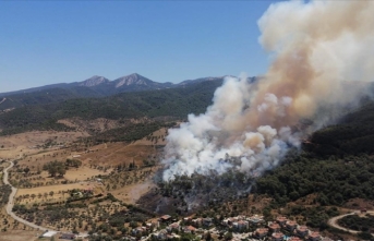 İzmir'in Güzelbahçe ilçesinde orman yangını çıktı