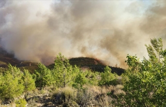 Mersin Gülnar'daki orman yangınına müdahale sürüyor