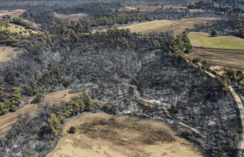 Çanakkale'deki orman yangını kontrol altına alındı