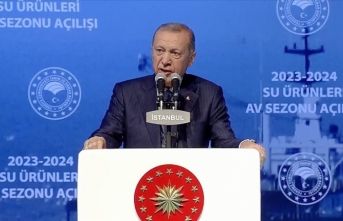 Cumhurbaşkanı Erdoğan: Depremzede balıkçılarımıza gemi başına 3 bin 500 ila 60 bin lira arasında destek vereceğiz