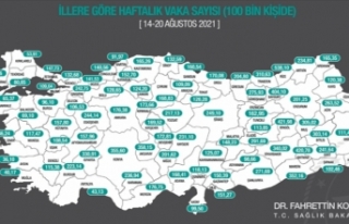 Her 100 bin kişideki Kovid-19 vaka sayısı İstanbul,...