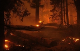 ABD'nin Colorado eyaletindeki orman yangını...