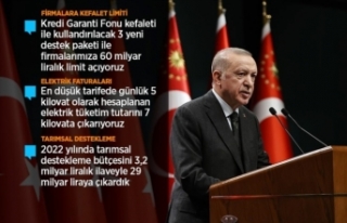 Cumhurbaşkanı Erdoğan: En düşük tarifede aylık...