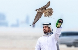 Katar'da kadim bir geleneğin yaşatıldığı...