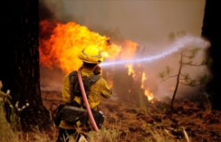 ABD’nin New Mexico eyaletinde orman yangınları...