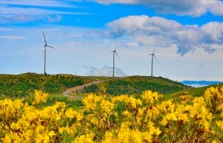 Rüzgardan elektrik üretimi rekor tazeledi