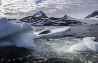Küresel ısınma Antarktika'da buzulları eritiyor