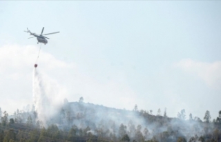Türkiye ve Azerbaycan orman yangınlarına karşı...