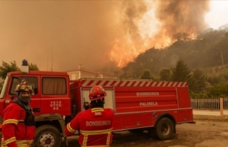 Avrupa ve ABD'de aşırı sıcaklar orman yangınlarına...