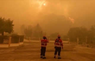Portekiz'de 10 gündür süren orman yangınlarında...
