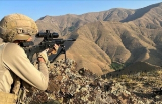 Pençe-Kilit Operasyonunda 2 PKK'lı terörist...