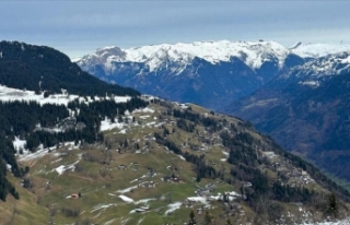 Avrupa'da sıcak geçen kış İsviçre'deki...