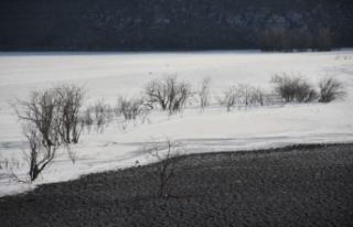 Doğu Anadolu'da dondurucu soğuklar etkili oldu