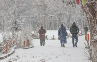 Doğu Anadolu'da kar, tipi ve soğuk hava etkili...